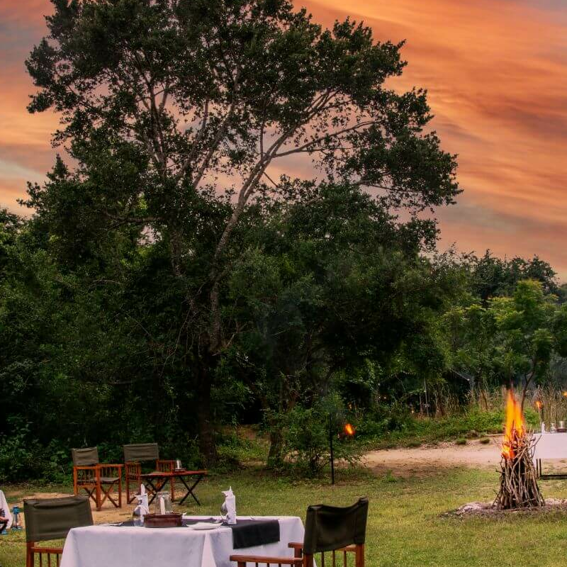 Mahoora Yala Camp
