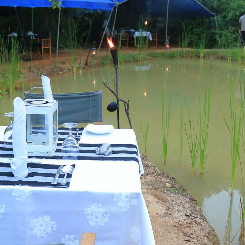Mahoora Yala Camp