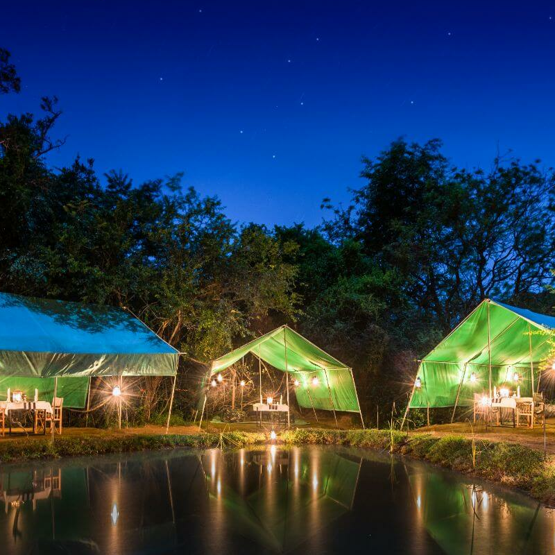 Mahoora Yala Camp