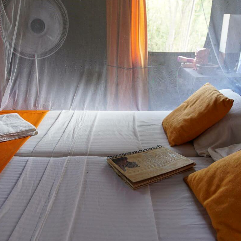 Mahoora Yala Camp