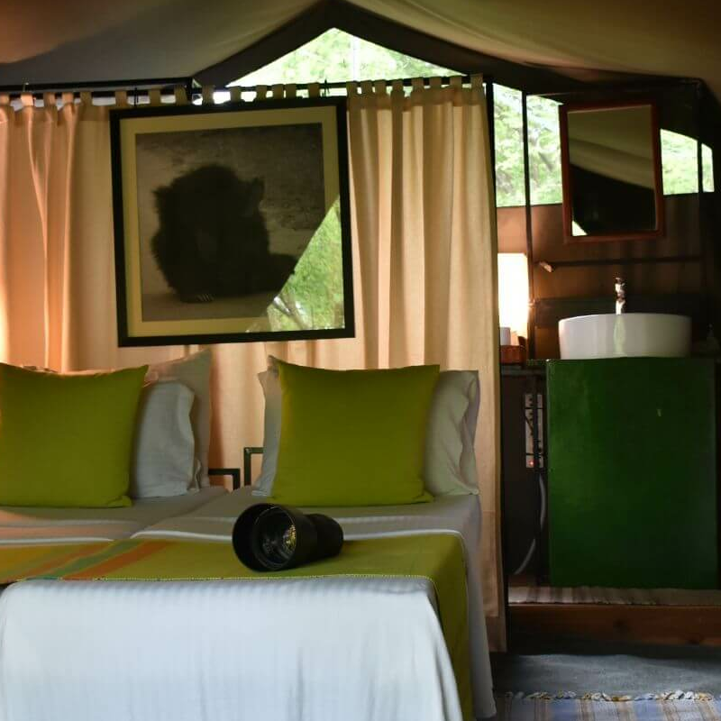 Mahoora Yala Camp