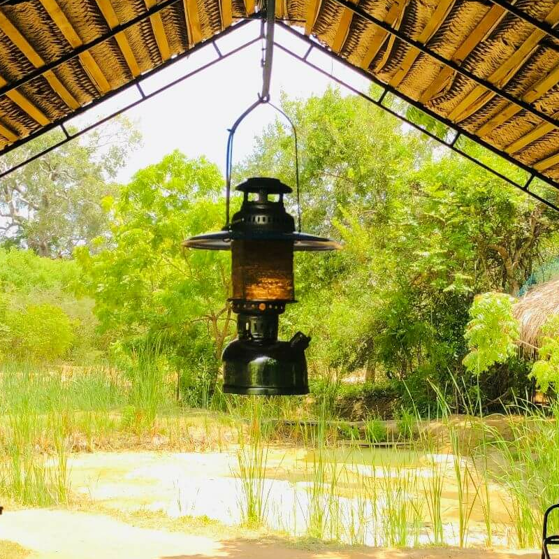 Mahoora Yala Camp
