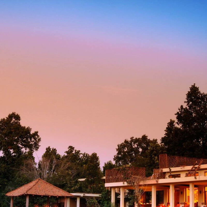 Mahua Kothi
