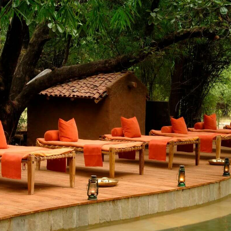 Mahua Kothi