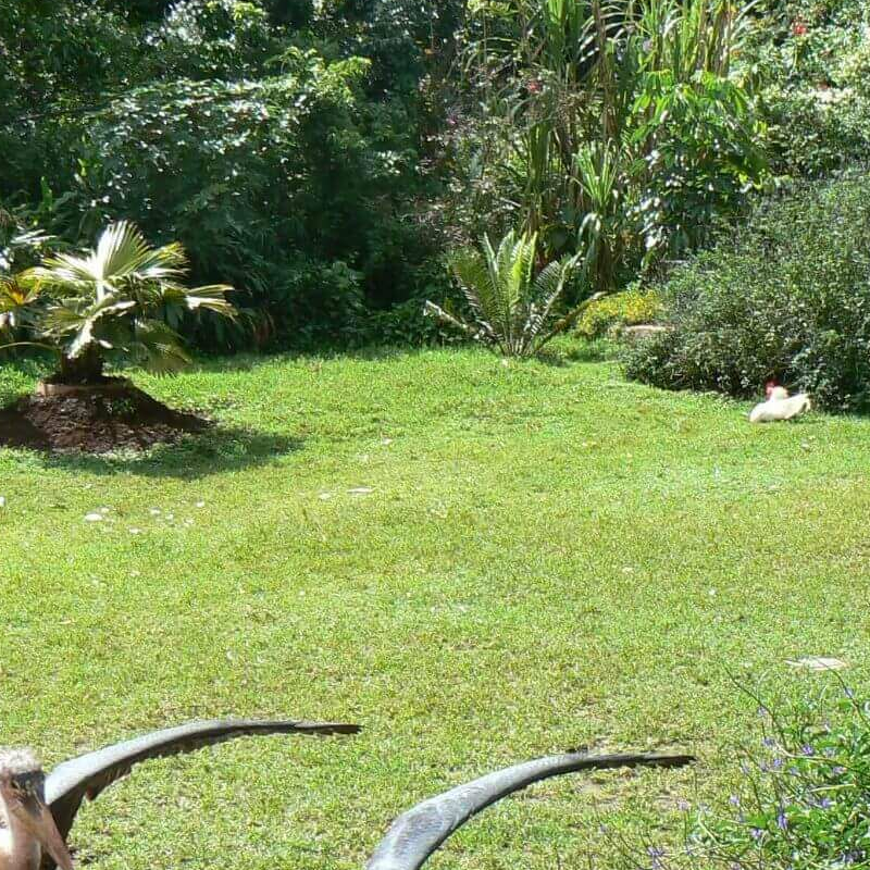 Makoa Farm
