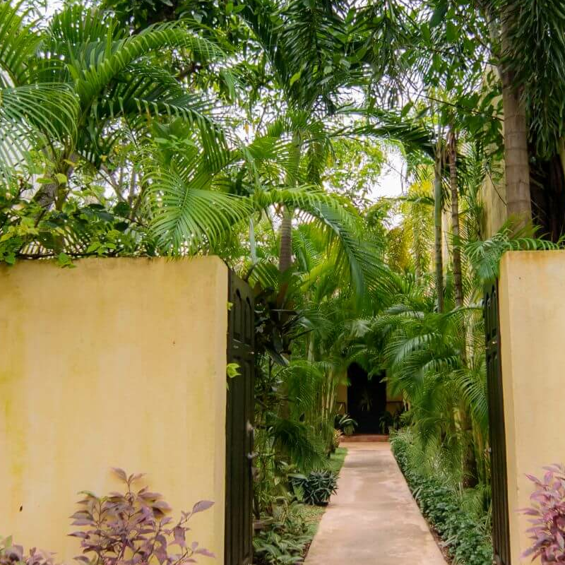 Mango House