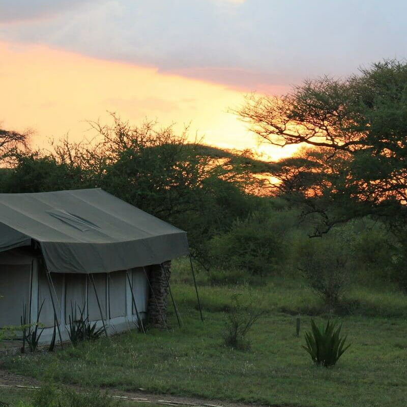 Mapito Tented Camp