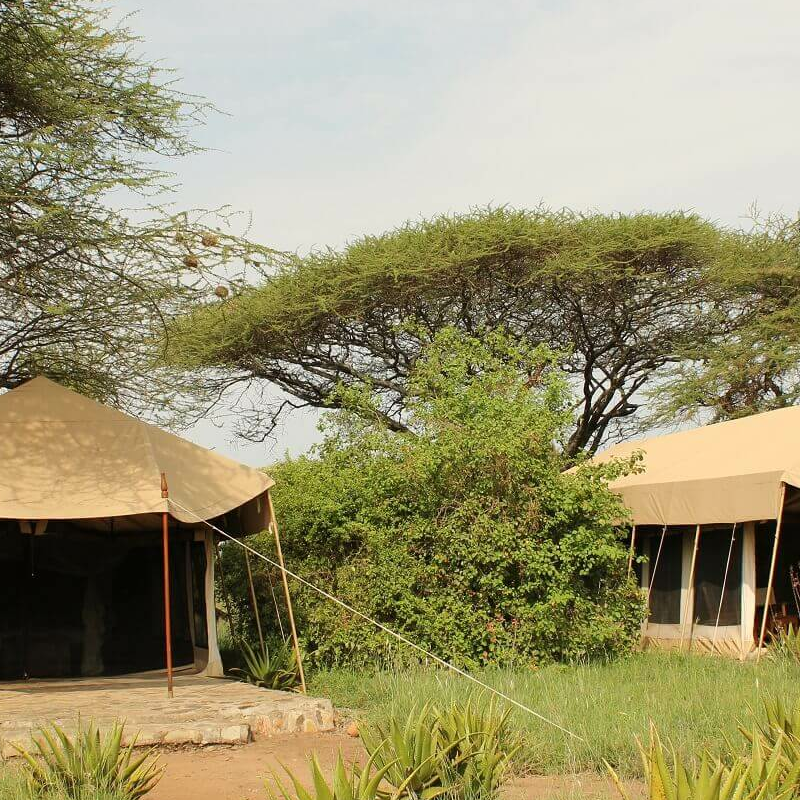 Mapito Tented Camp
