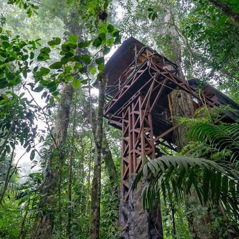 Maquenque Eco Lodge