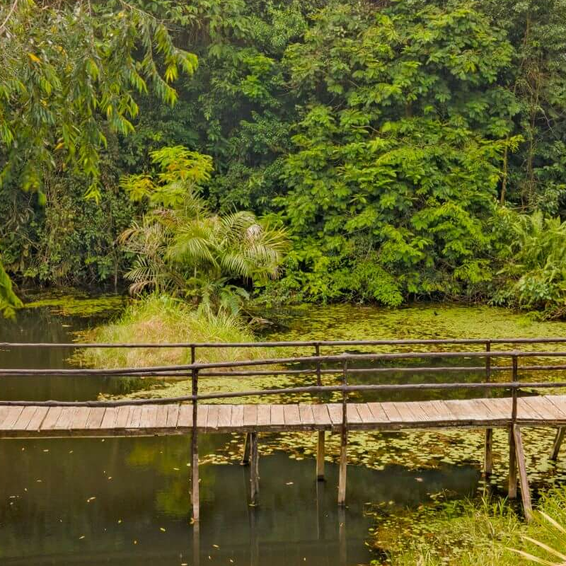 Maquenque Eco Lodge