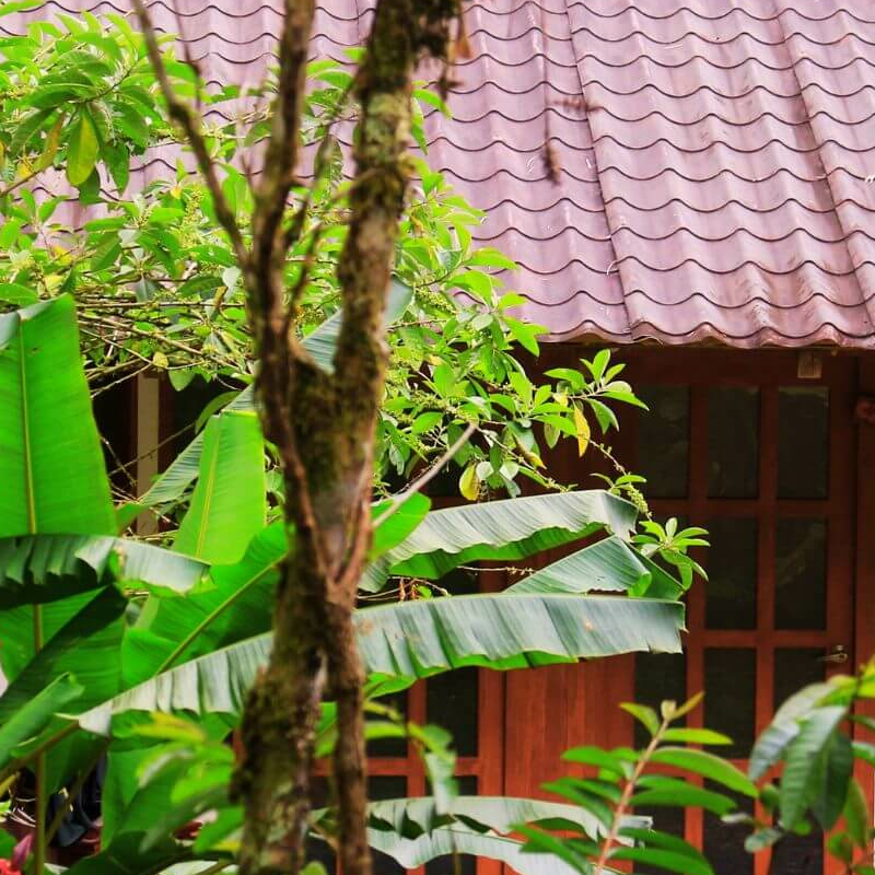 Maquipucuna Lodge