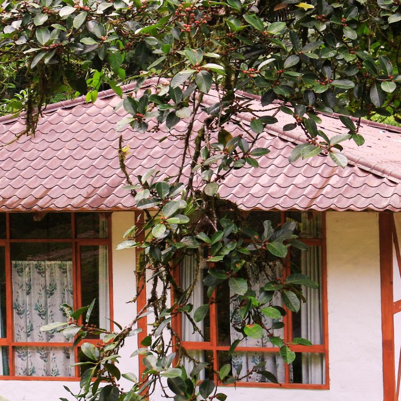Maquipucuna Lodge