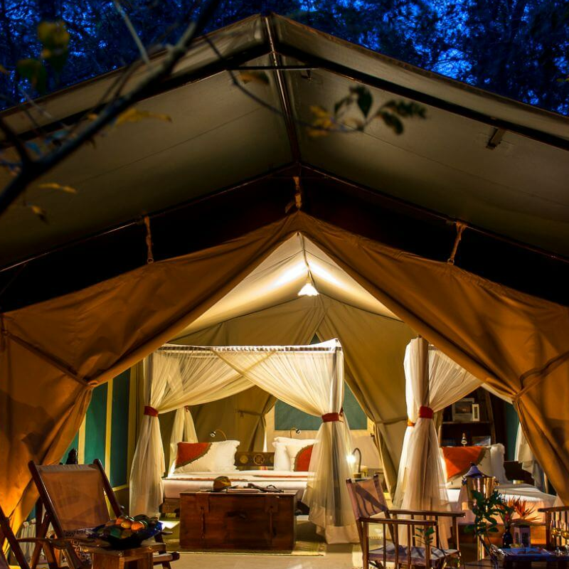 Mara Bush Camp