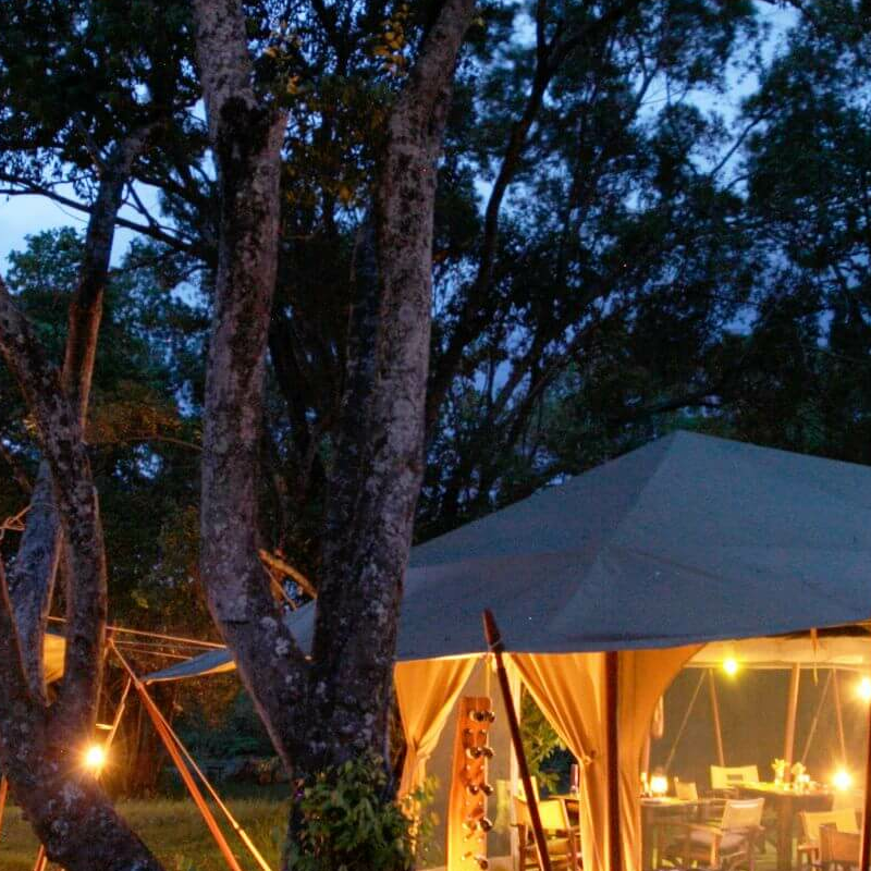 Mara Bush Camp
