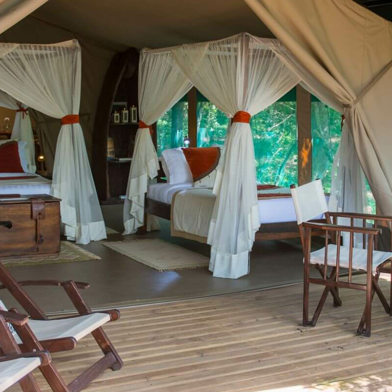 Mara Bush Camp