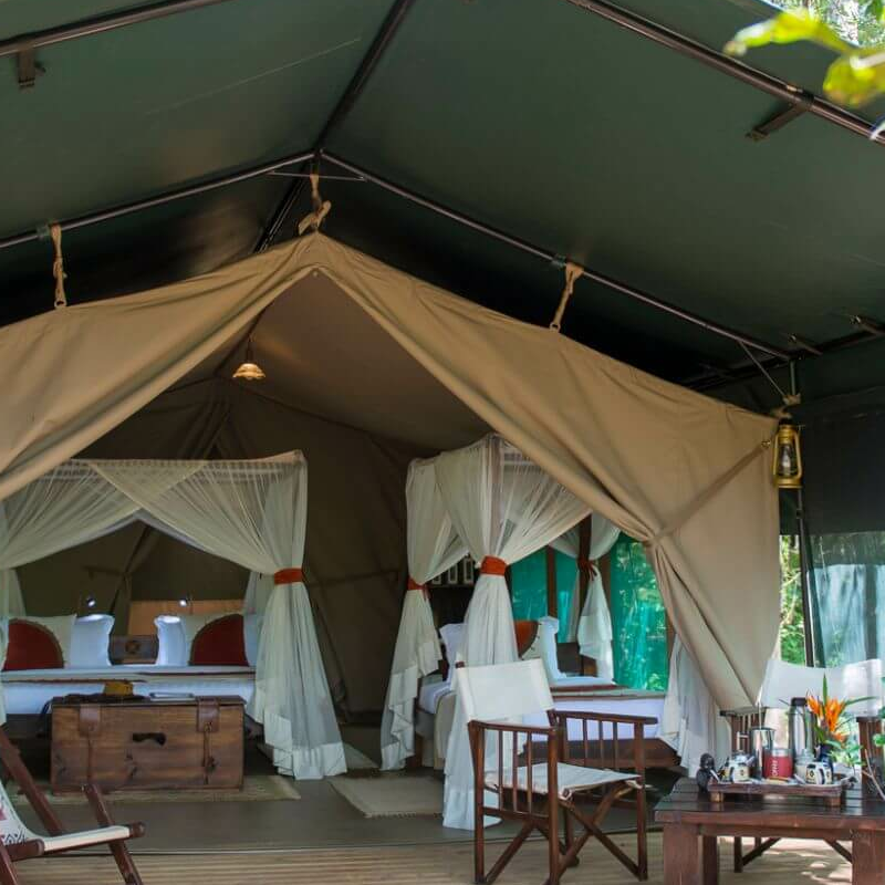 Mara Bush Camp