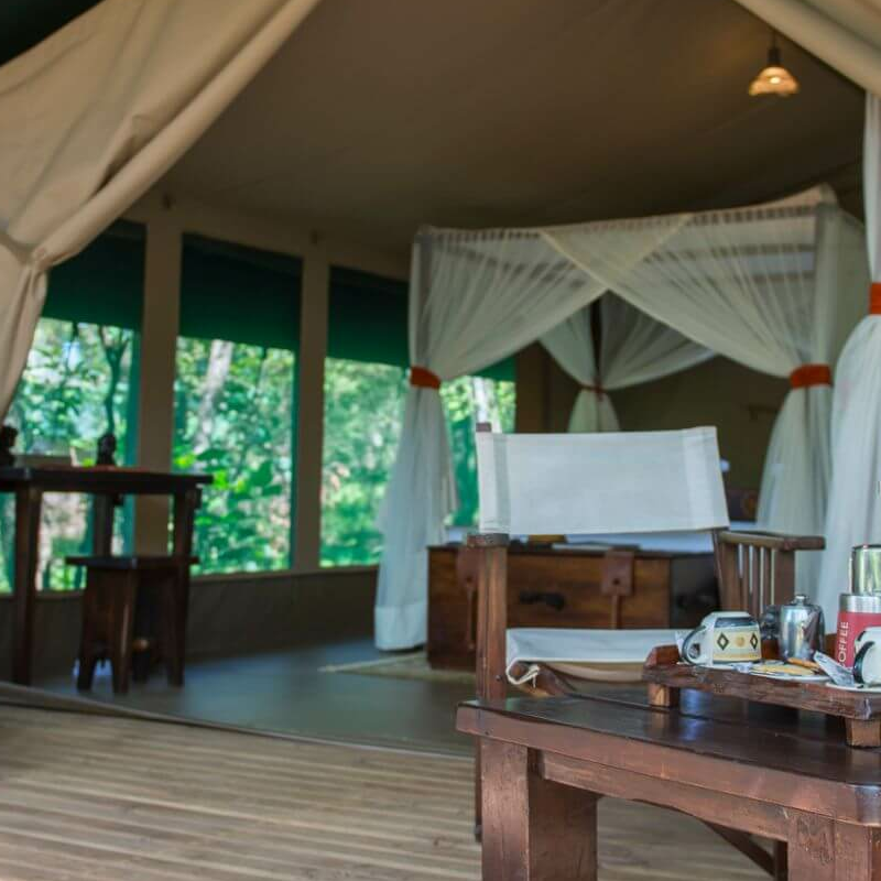 Mara Bush Camp