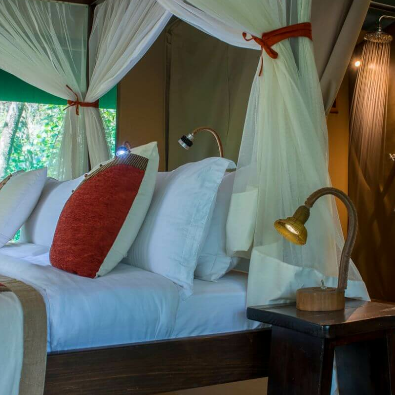 Mara Bush Camp