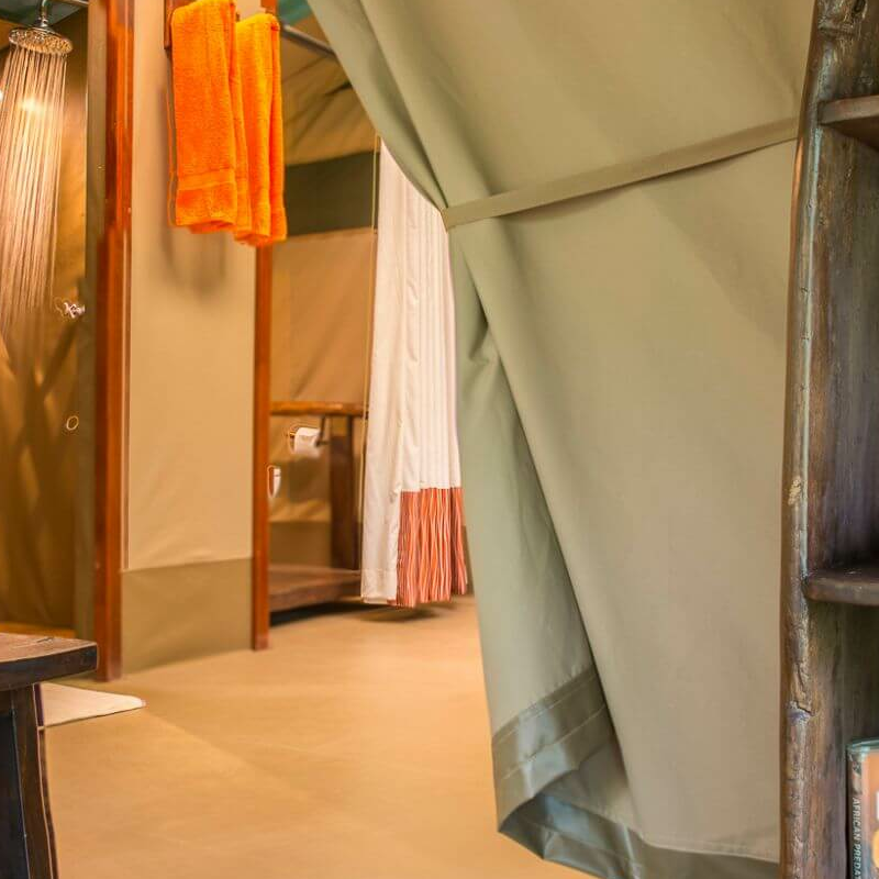 Mara Bush Camp