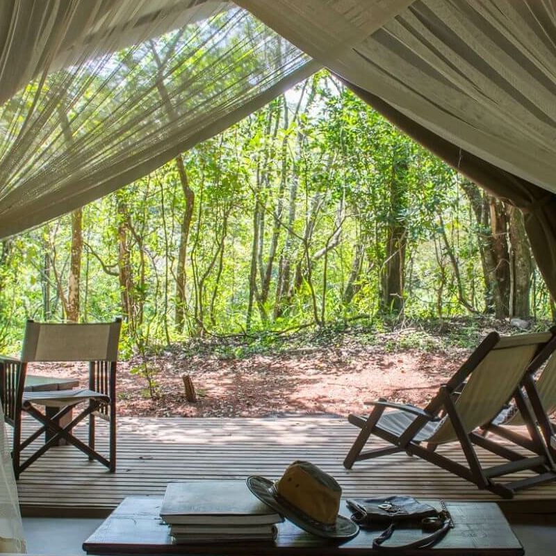 Mara Bush Camp