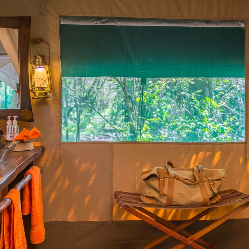 Mara Bush Camp