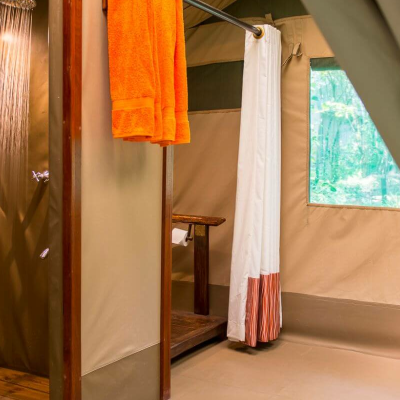 Mara Bush Camp