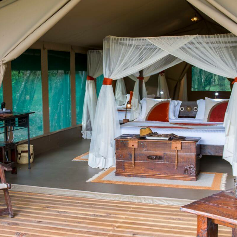 Mara Bush Camp