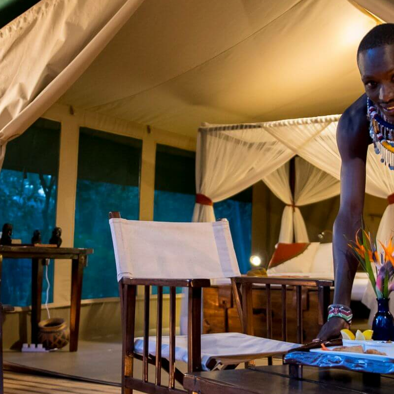 Mara Bush Camp