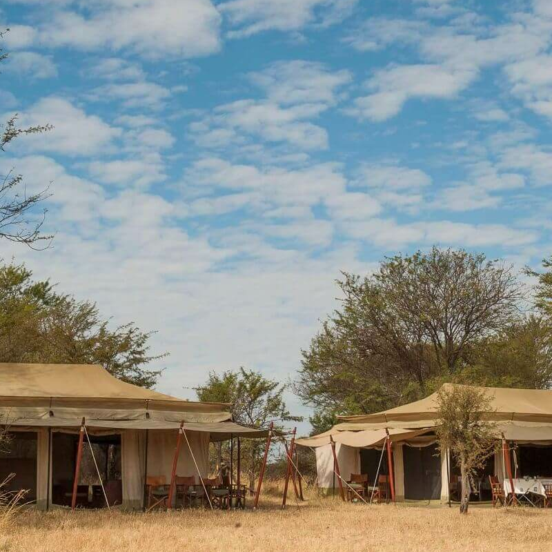 Mara under Canvas