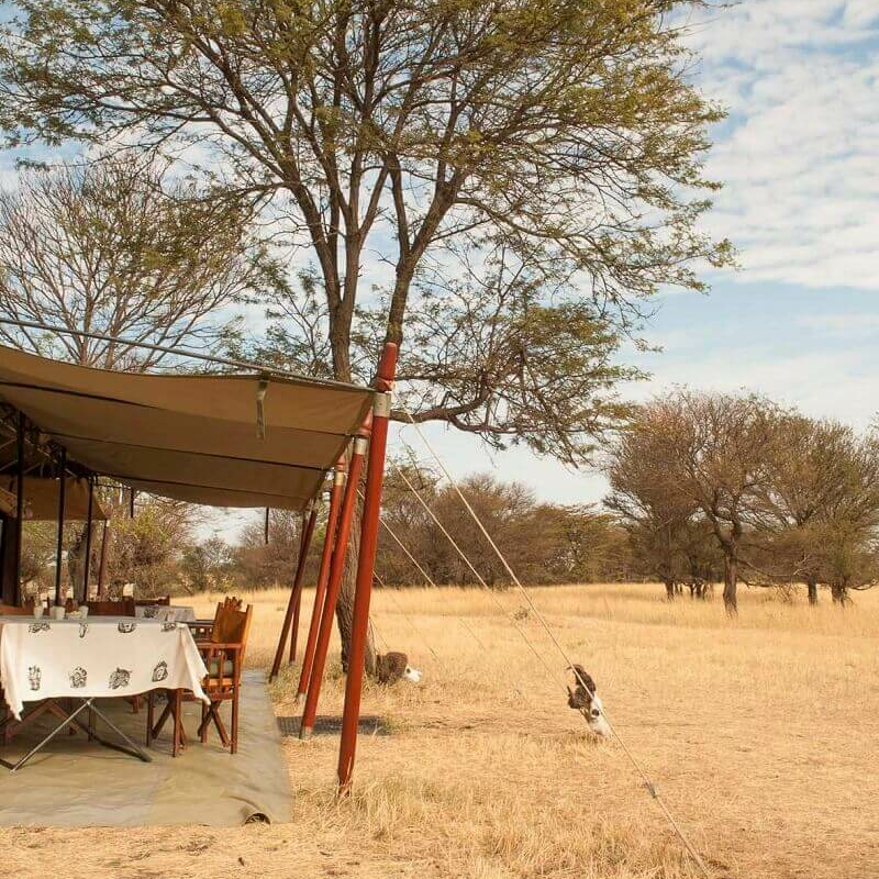 Mara under Canvas