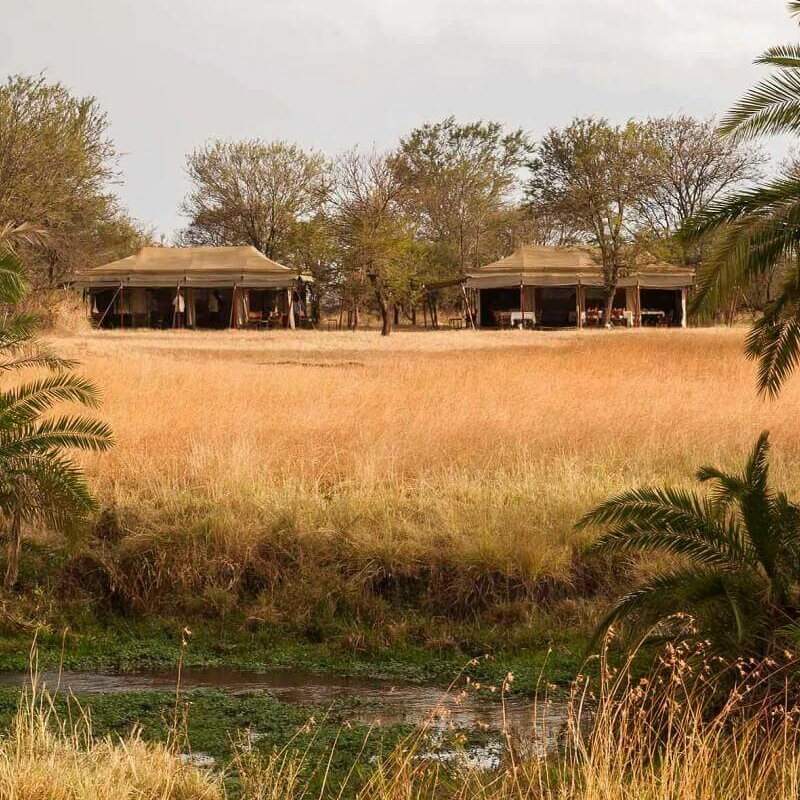 Mara under Canvas
