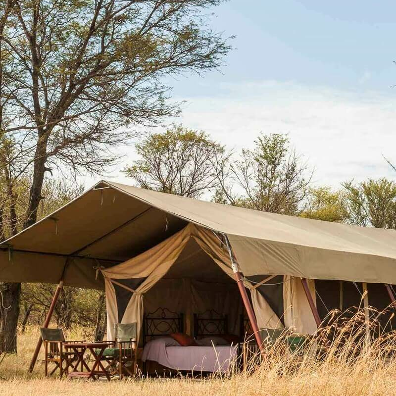 Mara under Canvas