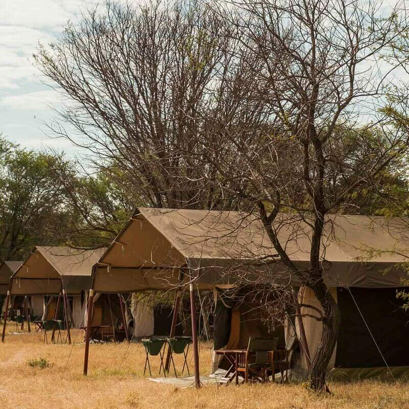 Mara under Canvas