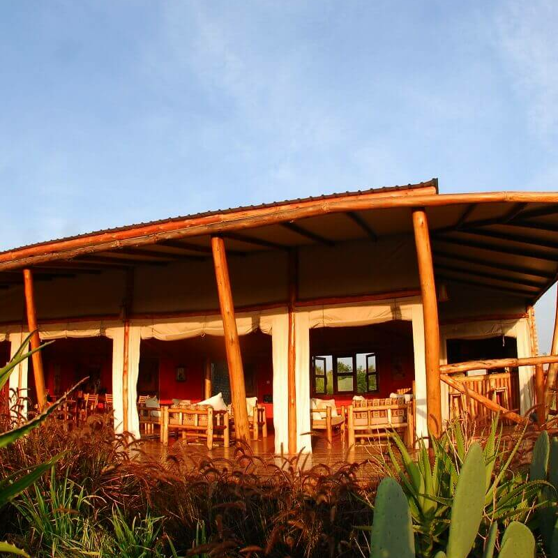 Marafiki Safari Lodge