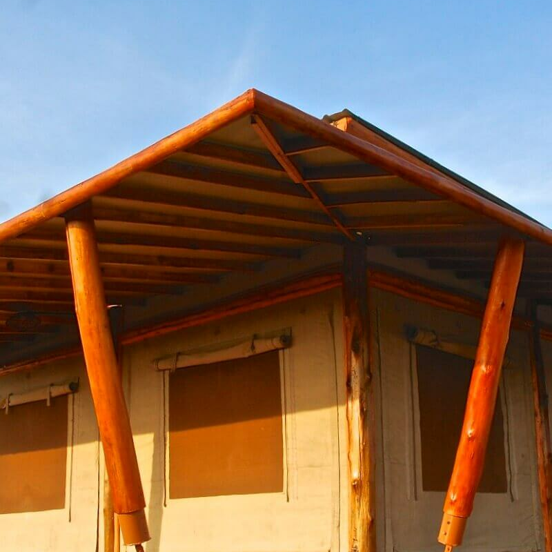 Marafiki Safari Lodge