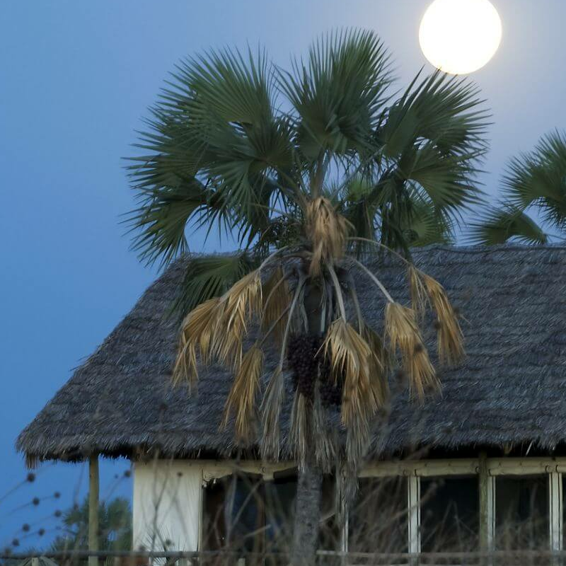 Maramboi Tented Camp