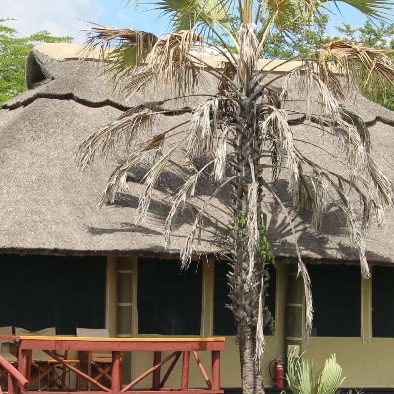 Maramboi Tented Camp