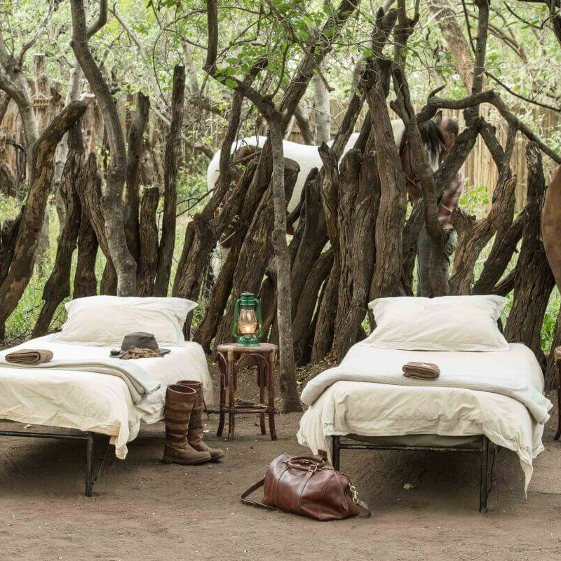 Mashatu Lodge