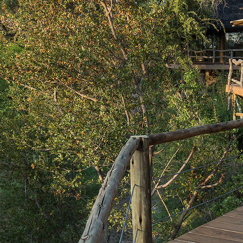Mashatu Lodge