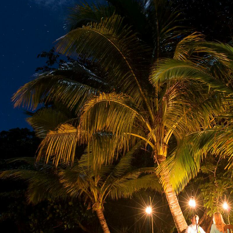 Masoala Forest Lodge