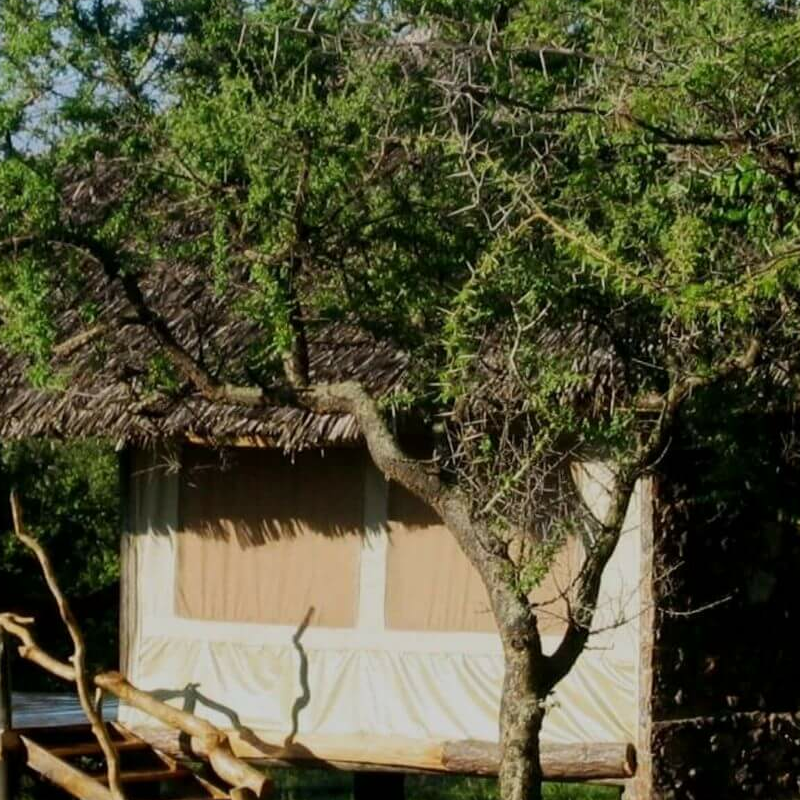Mbalageti Safari Camp
