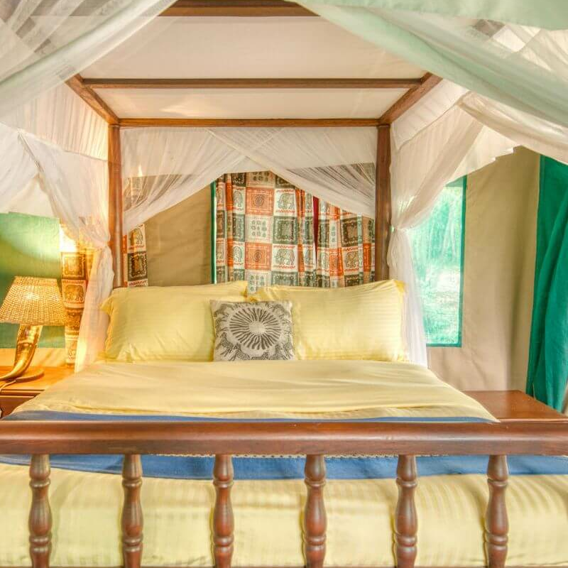 Mbali Mbali Gombe Lodge