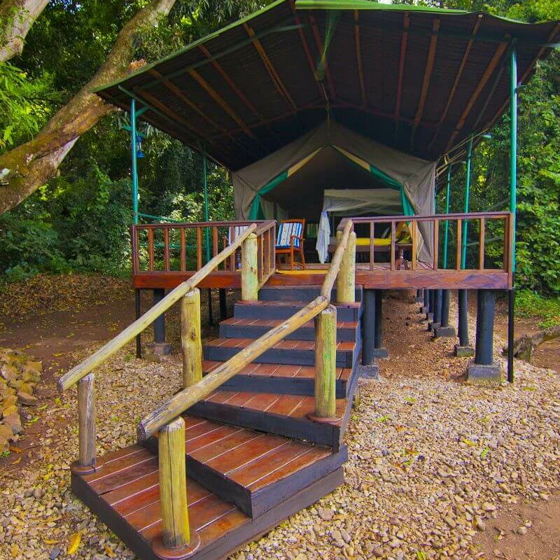 Mbali Mbali Gombe Lodge