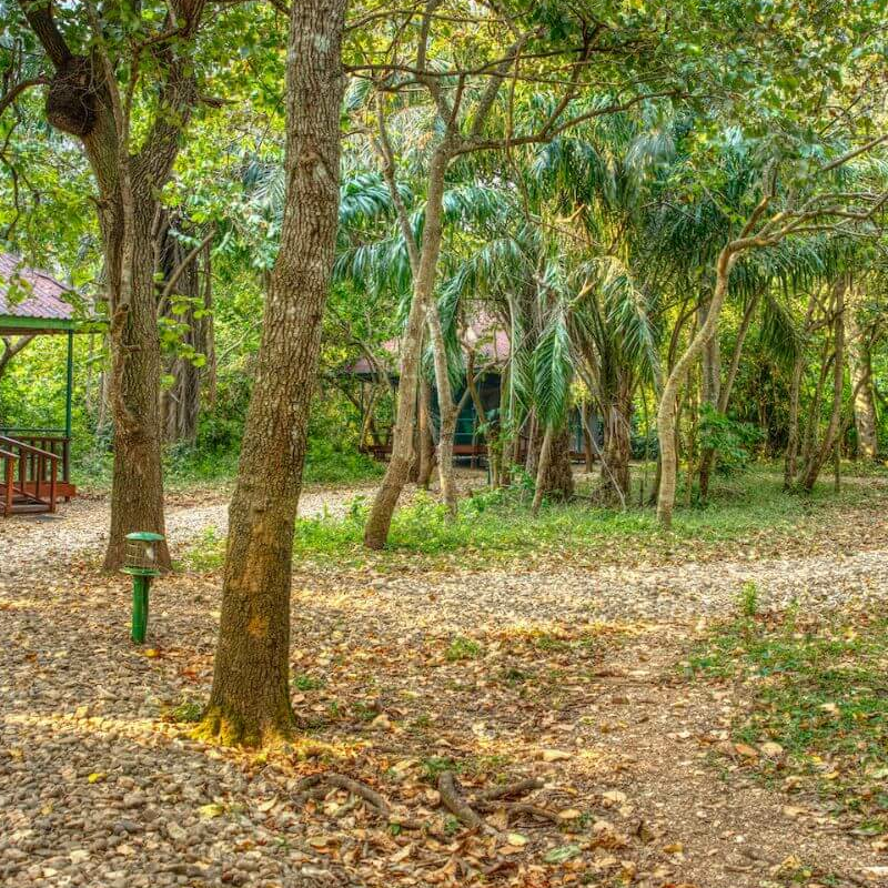 Mbali Mbali Gombe Lodge