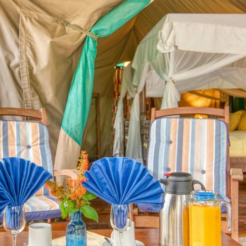 Mbali Mbali Gombe Lodge