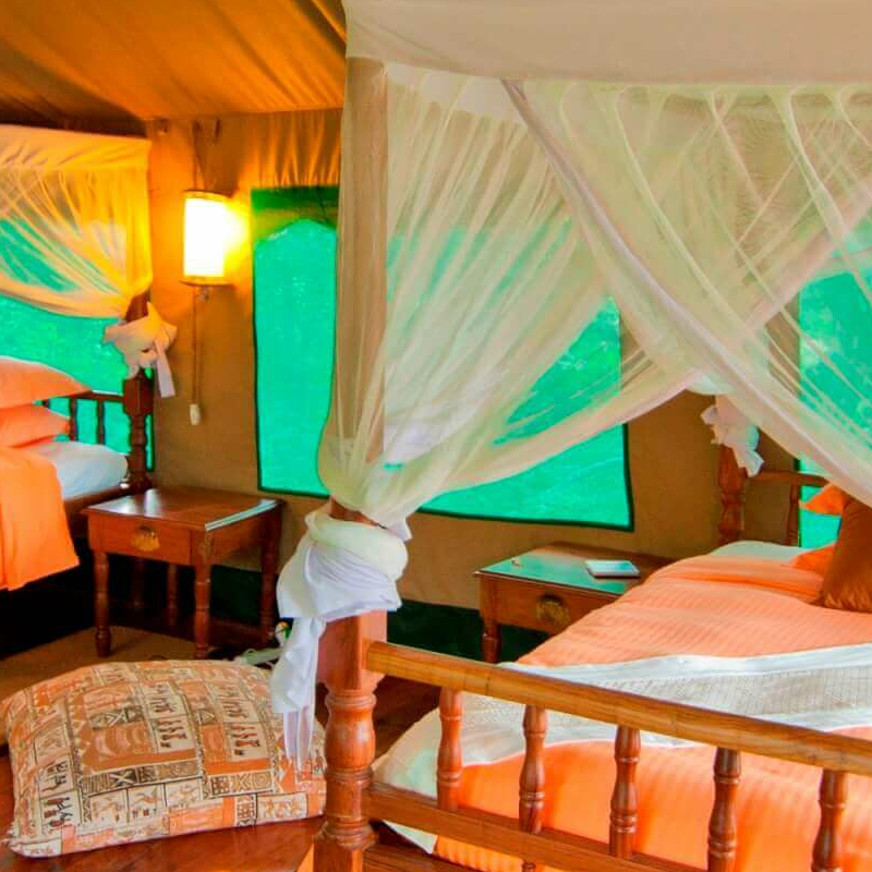 ​Mbali Mbali Katavi Lodge