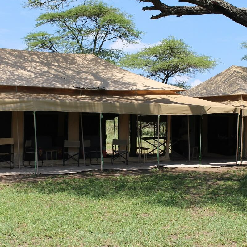 Mbugani Kirawira Camp