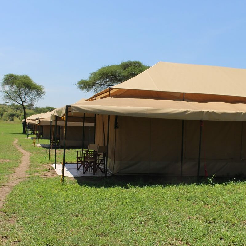 Mbugani Kirawira Camp
