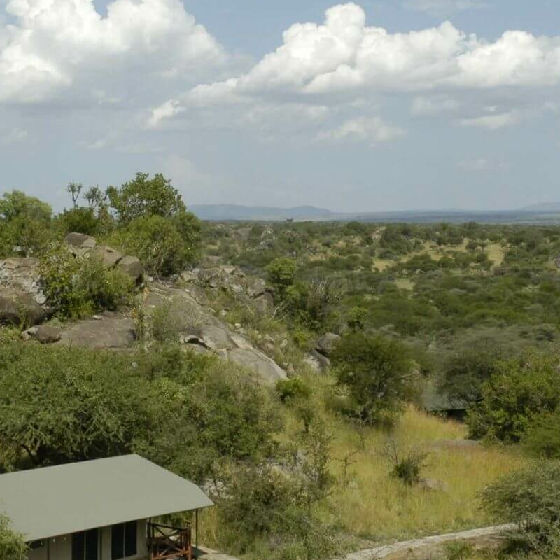 Mbuzi Mawe Serena Camp