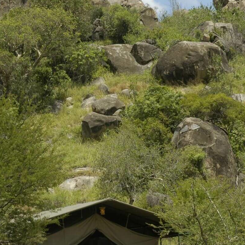 Mbuzi Mawe Serena Camp